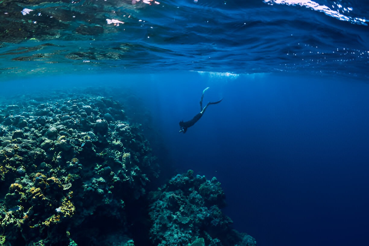 Underwater Photography in Hawaii