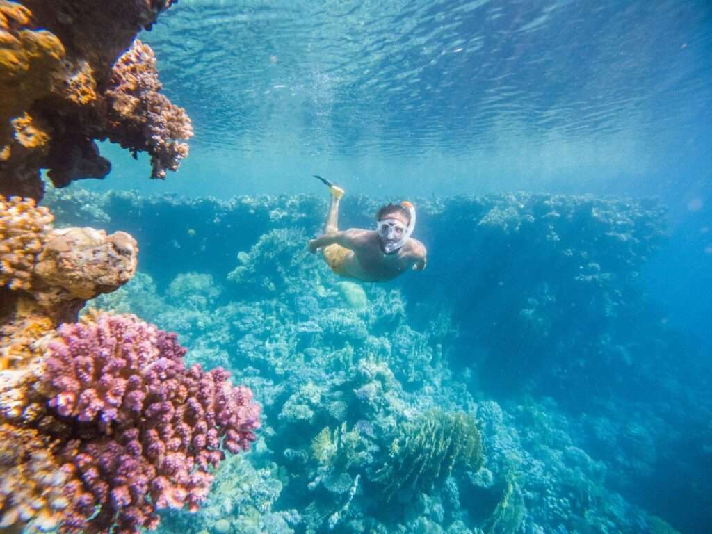 Indian Ocean Snorkeling spots