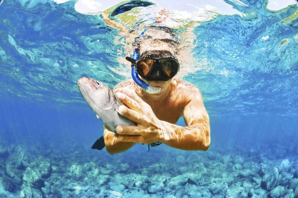 Understanding Snorkeling