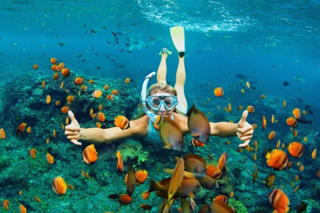 snorkeling in hawaii