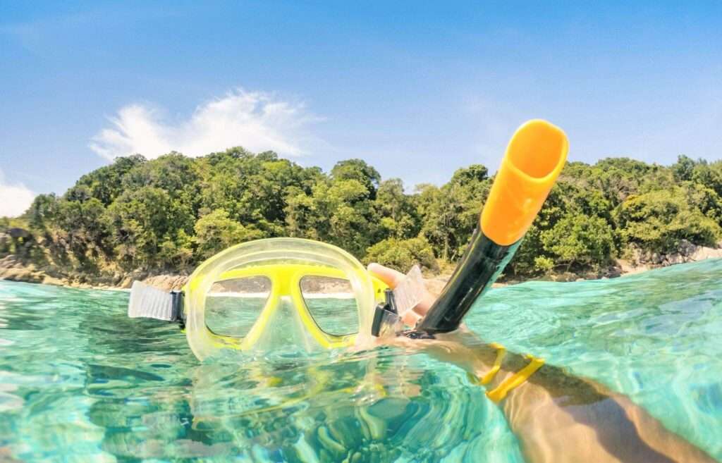 Snorkeling Mask