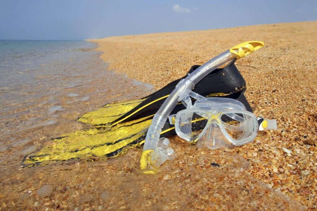 Snorkeling Gear