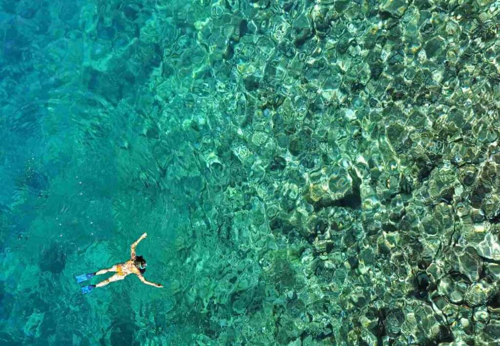 Zanzibar Snorkeling 