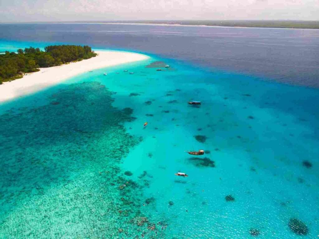 Zanzibar Snorkeling