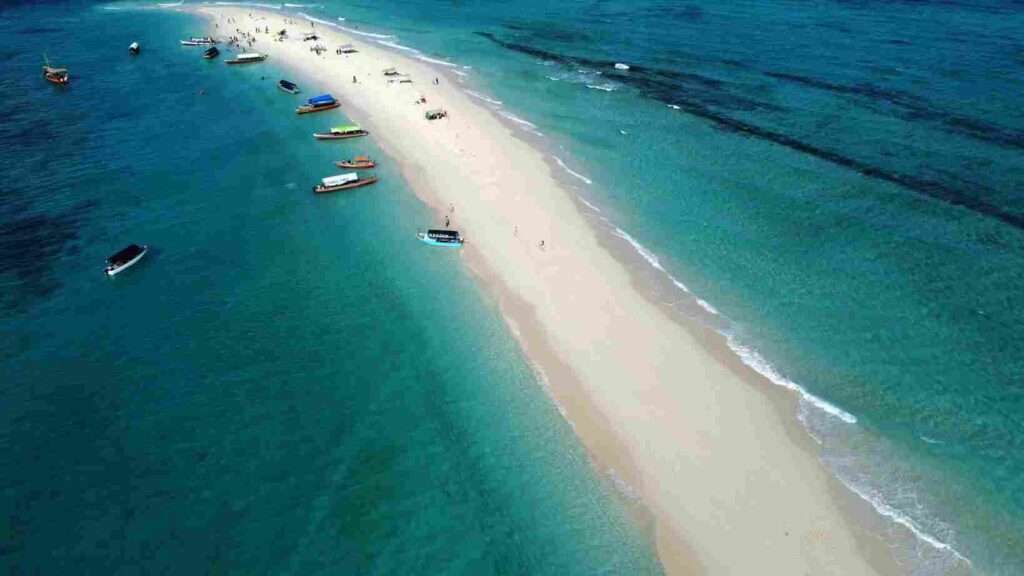 Zanzibar Snorkeling