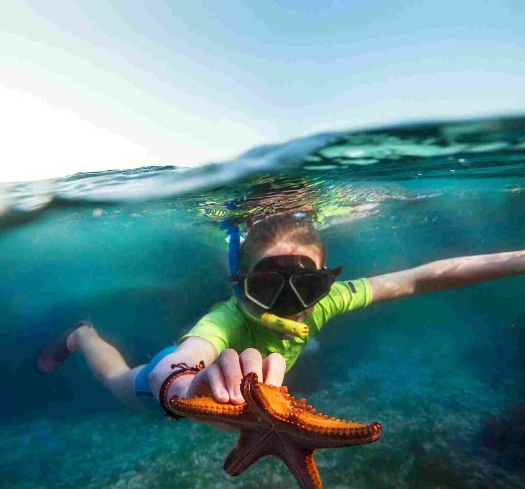 Zanzibar Snorkeling