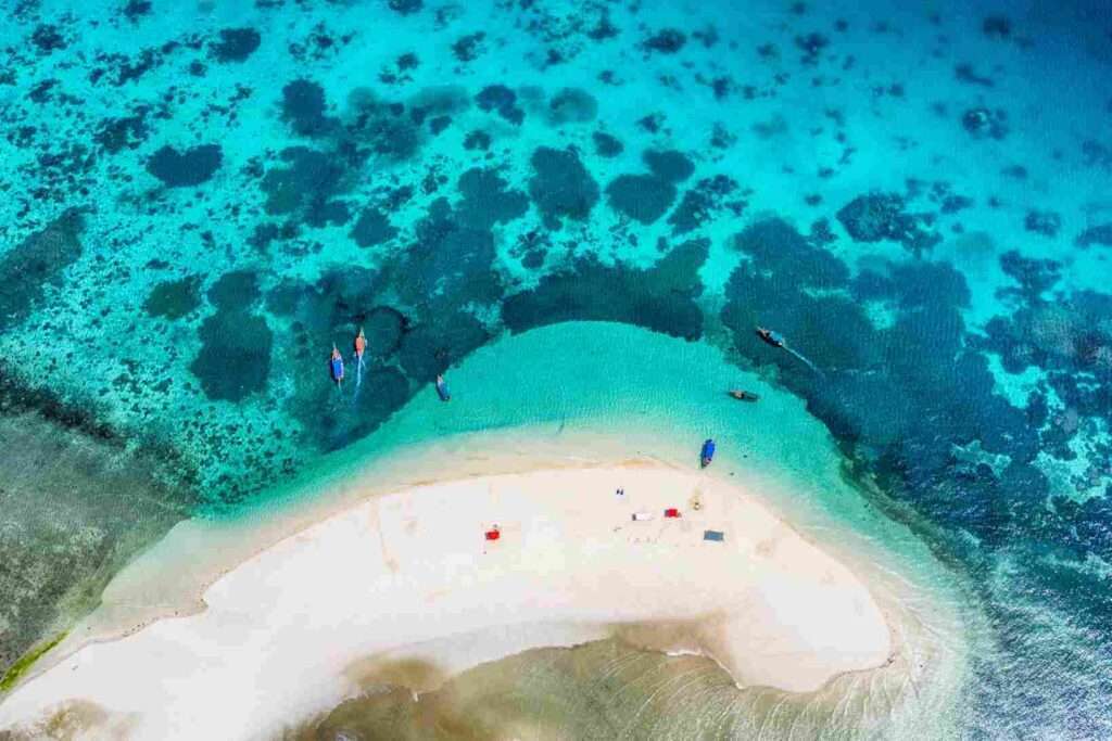 Zanzibar Snorkeling