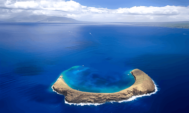 The Ultimate Maui Magic Molokini Snorkel Tour : Dive into an Enchanting Adventure!