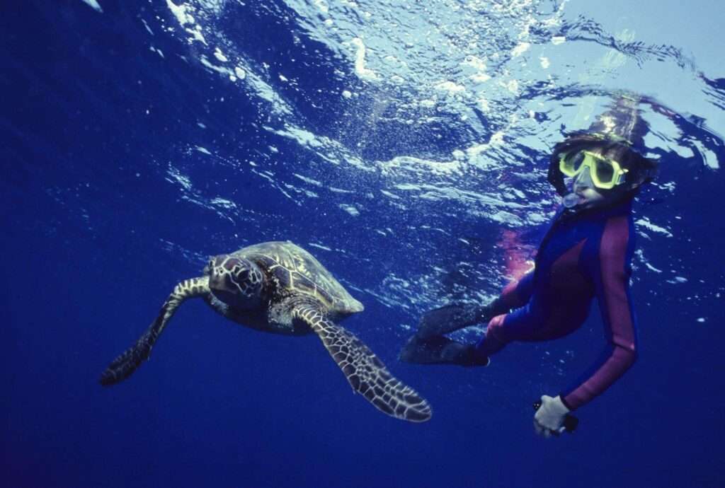 Blue Lagoon Snorkeling