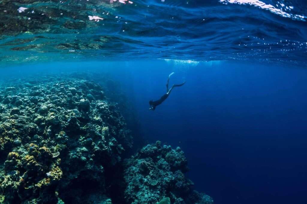 Snorkeling for Beginners