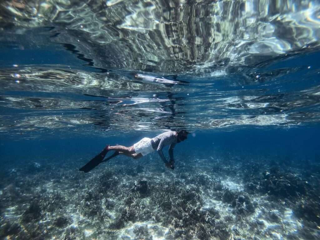 Molokini Snorkel Tour