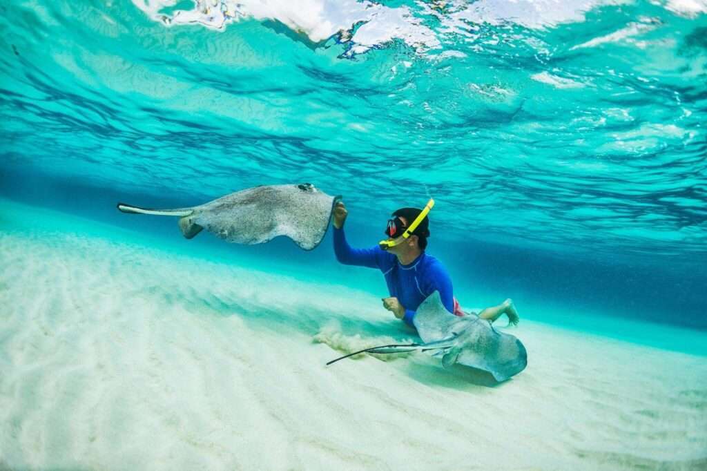 Blue Lagoon Snorkeling