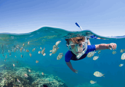 Snorkeling Tips