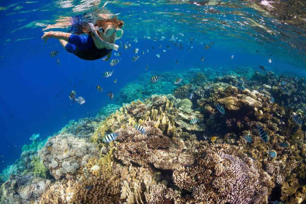 Snorkeling 