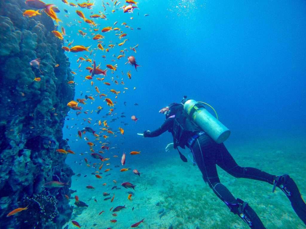 Scuba Diving SSI