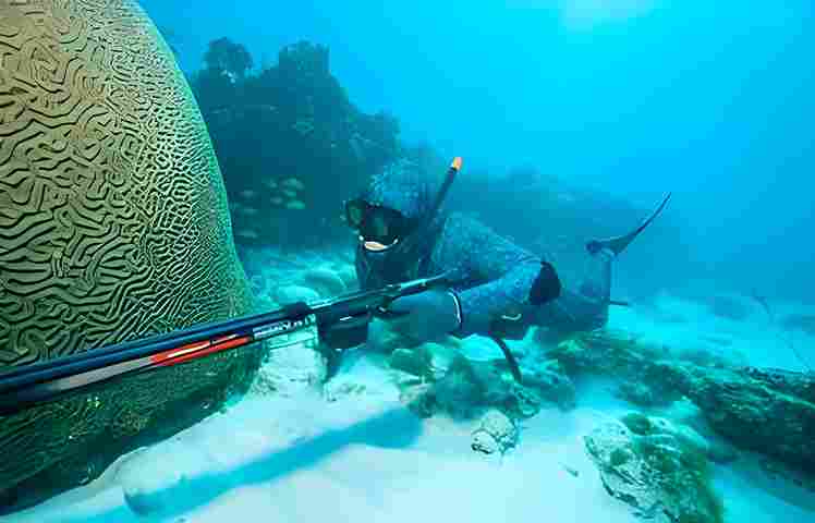 Spearfishing spots