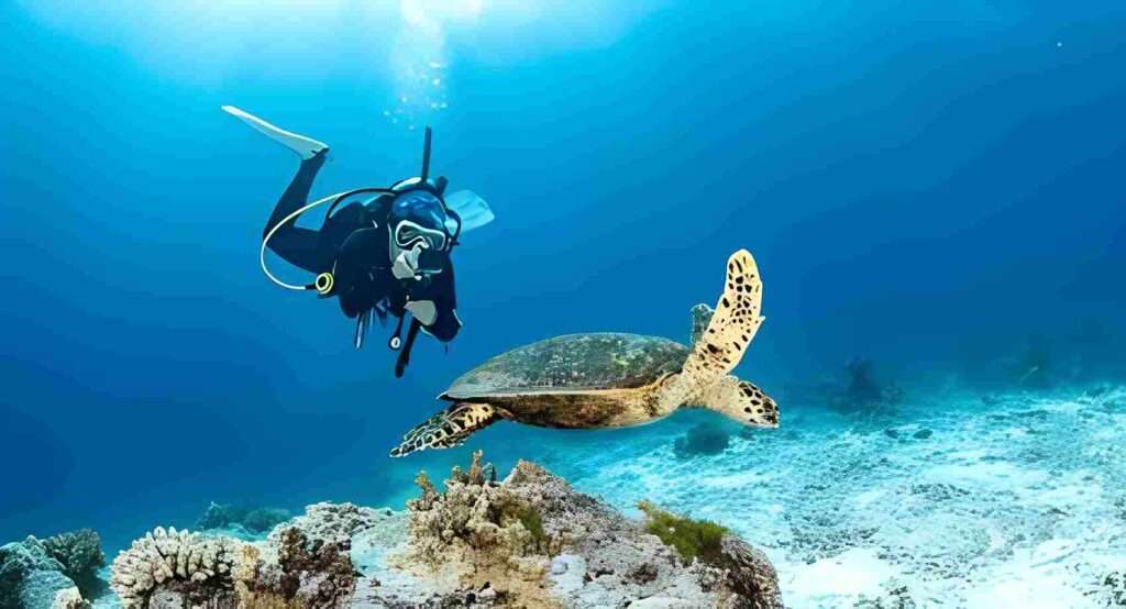 Scuba Diving Vacations for Beginners