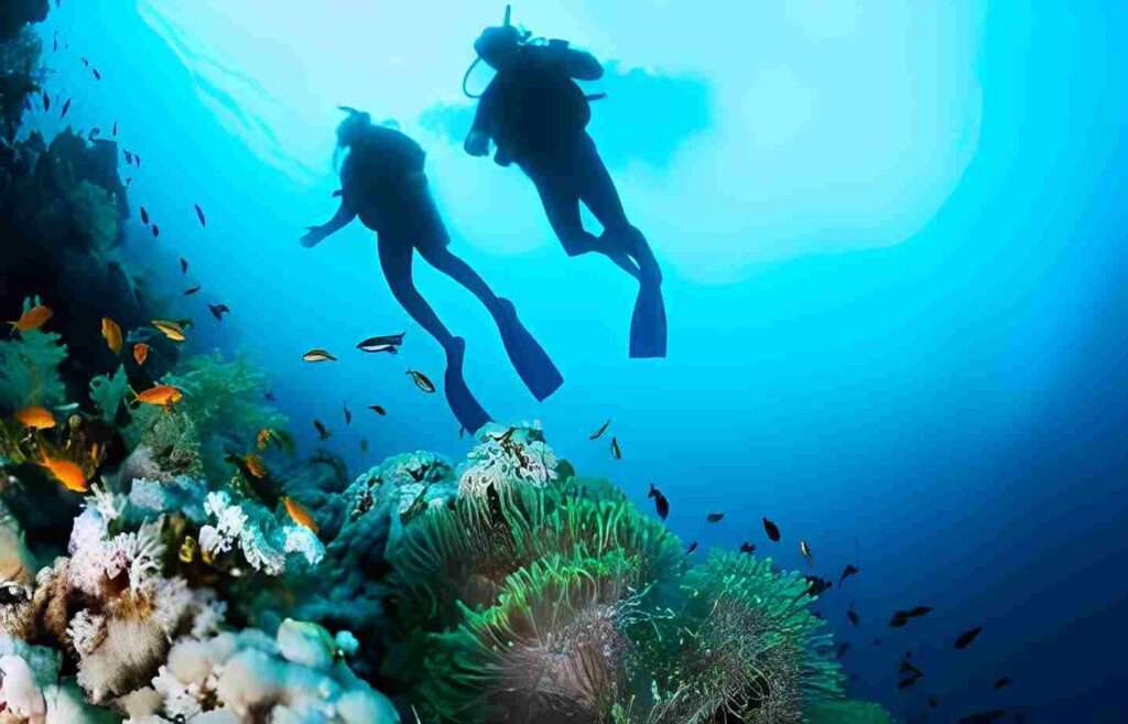 scuba diving