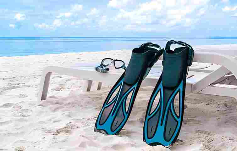 Snorkeling Fins