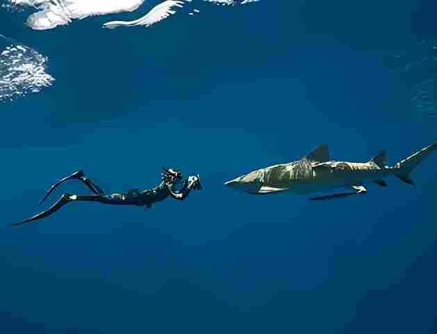 Freediving