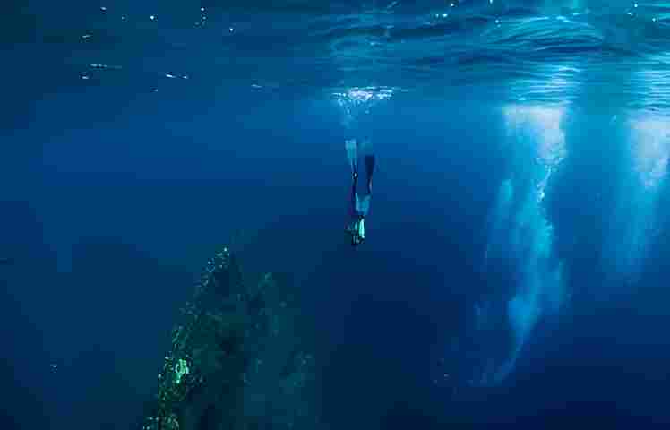 freediving