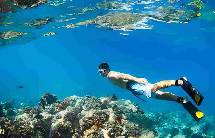 Snorkeling in Hawaii