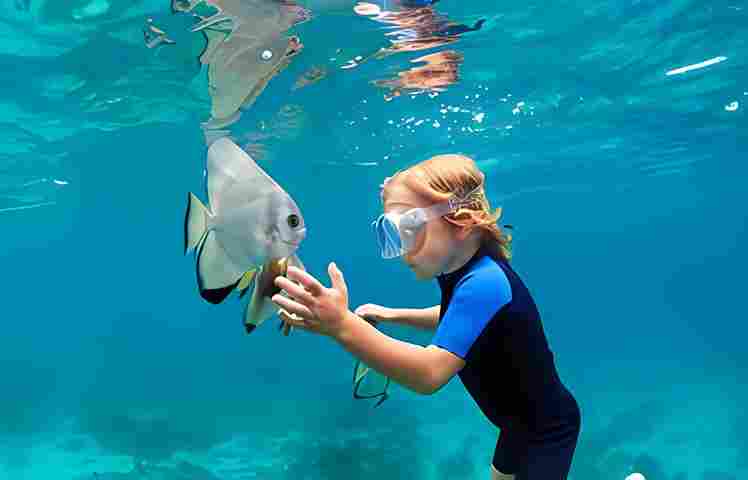 Snorkeling in Hawaii