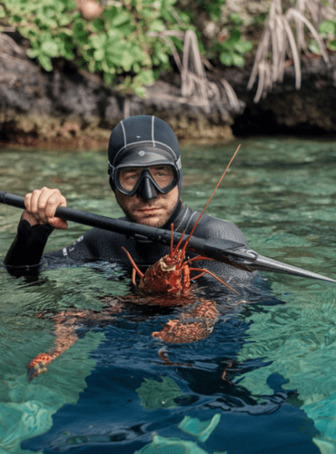 How to Spearfish for Lobster