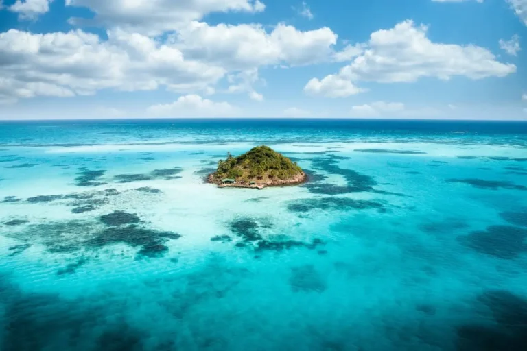 Scuba diver exploring the vibrant coral reefs of the Great Barrier Reef, Australia.