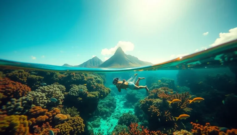 snorkeling in bora bora